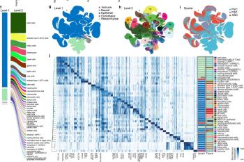link to library blog - Rat Tail Collagen to Maintain Colon Organoids