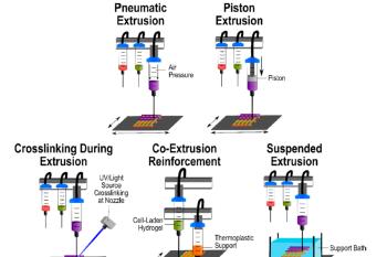 link to library blog - Emulating Human Tissues and Organs
