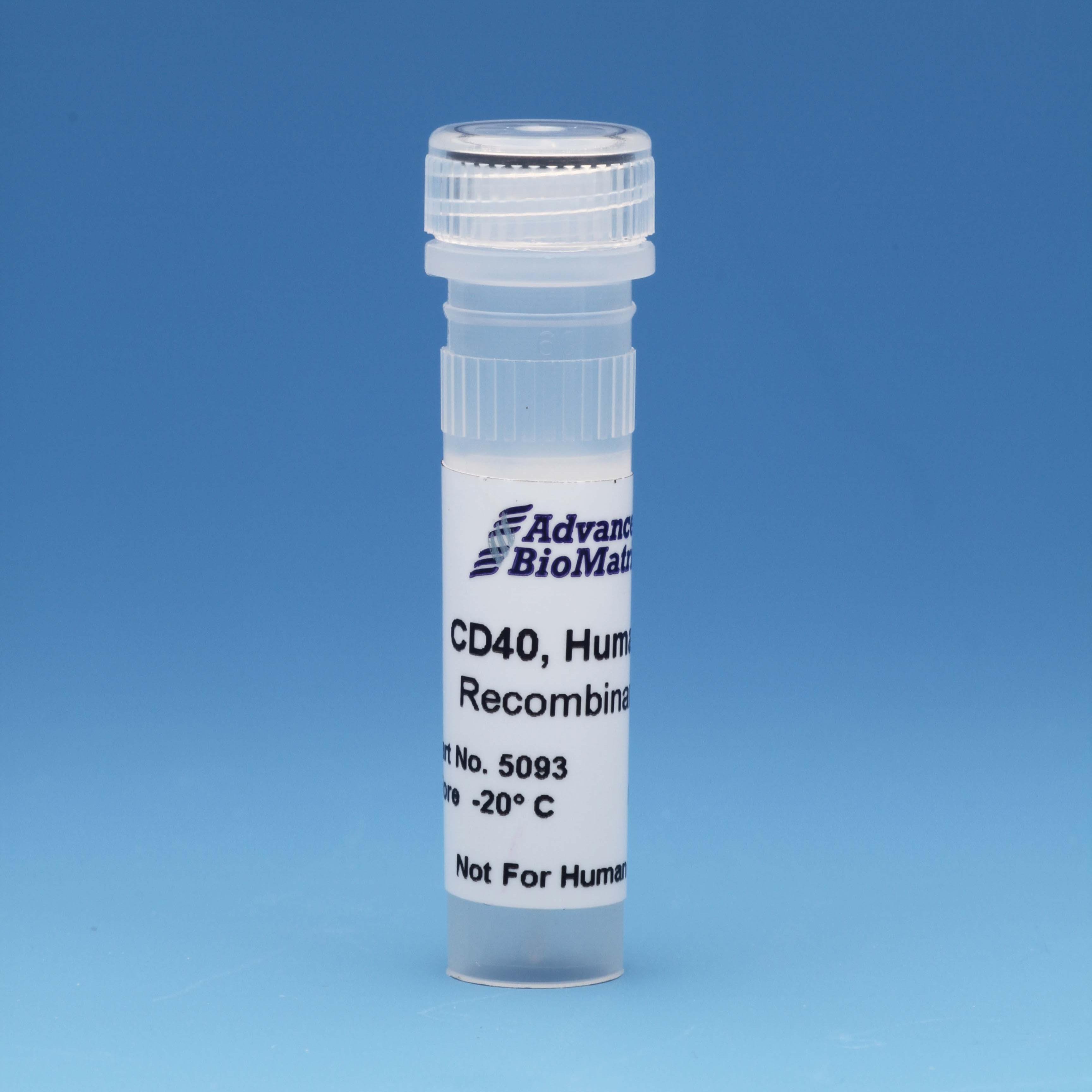 CDH40 recombinant adhesion protein from advanced biomatrix