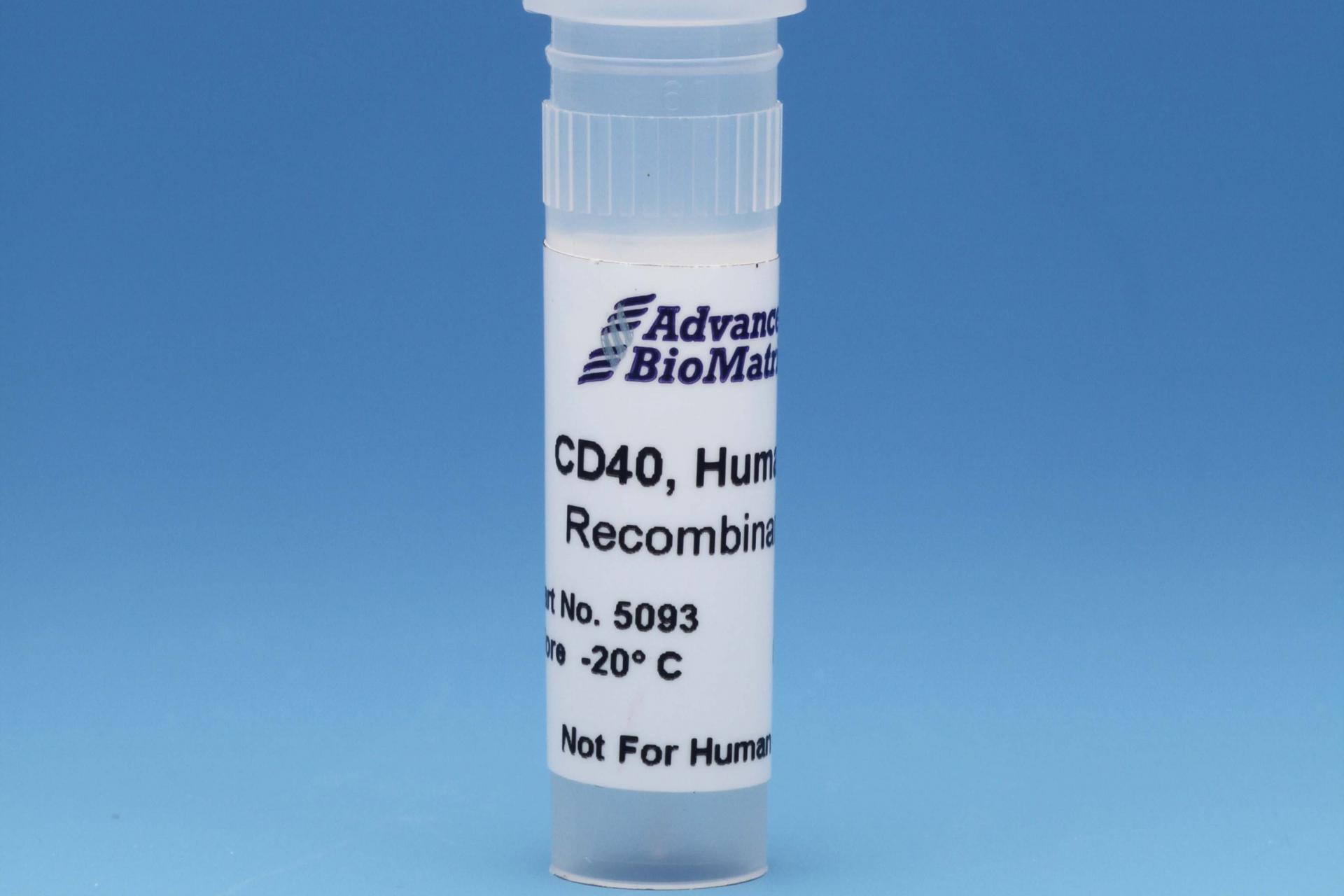 CD40, 0.5 mg/ml #5093