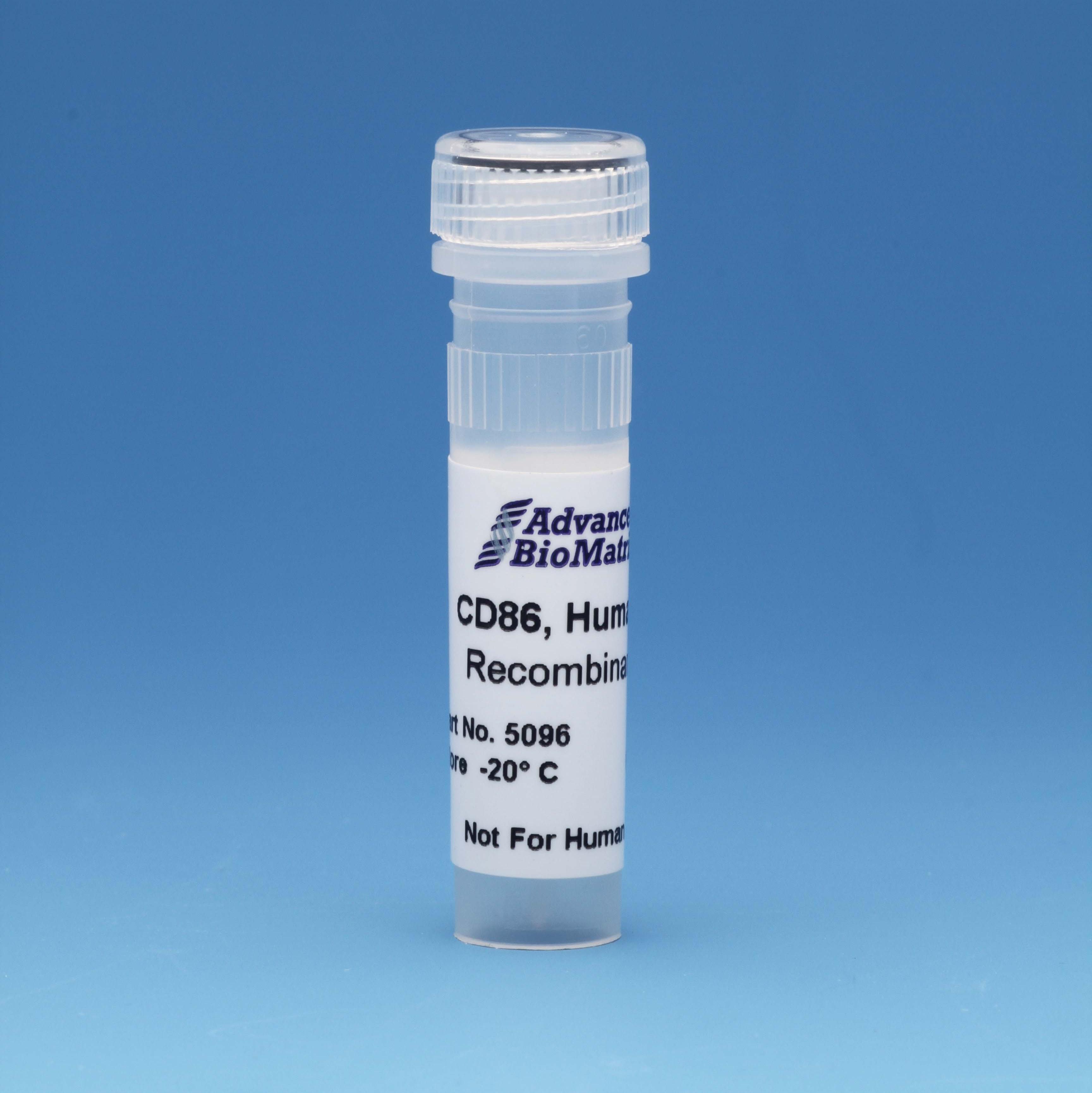 CD86 recombinant adhesion protein from advanced biomatrix