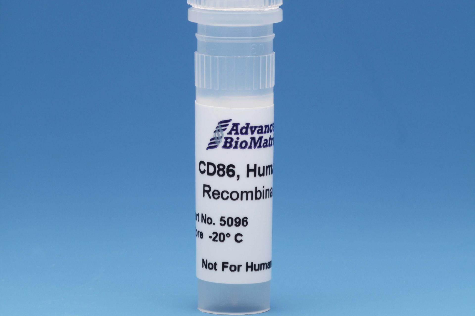 CD86, 0.5 mg/ml #5096