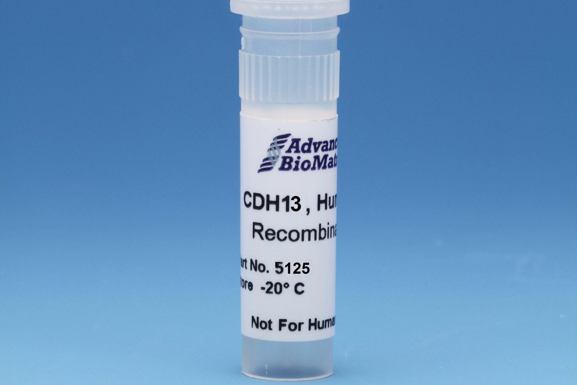 CDH13, 0.5 mg/ml #5125