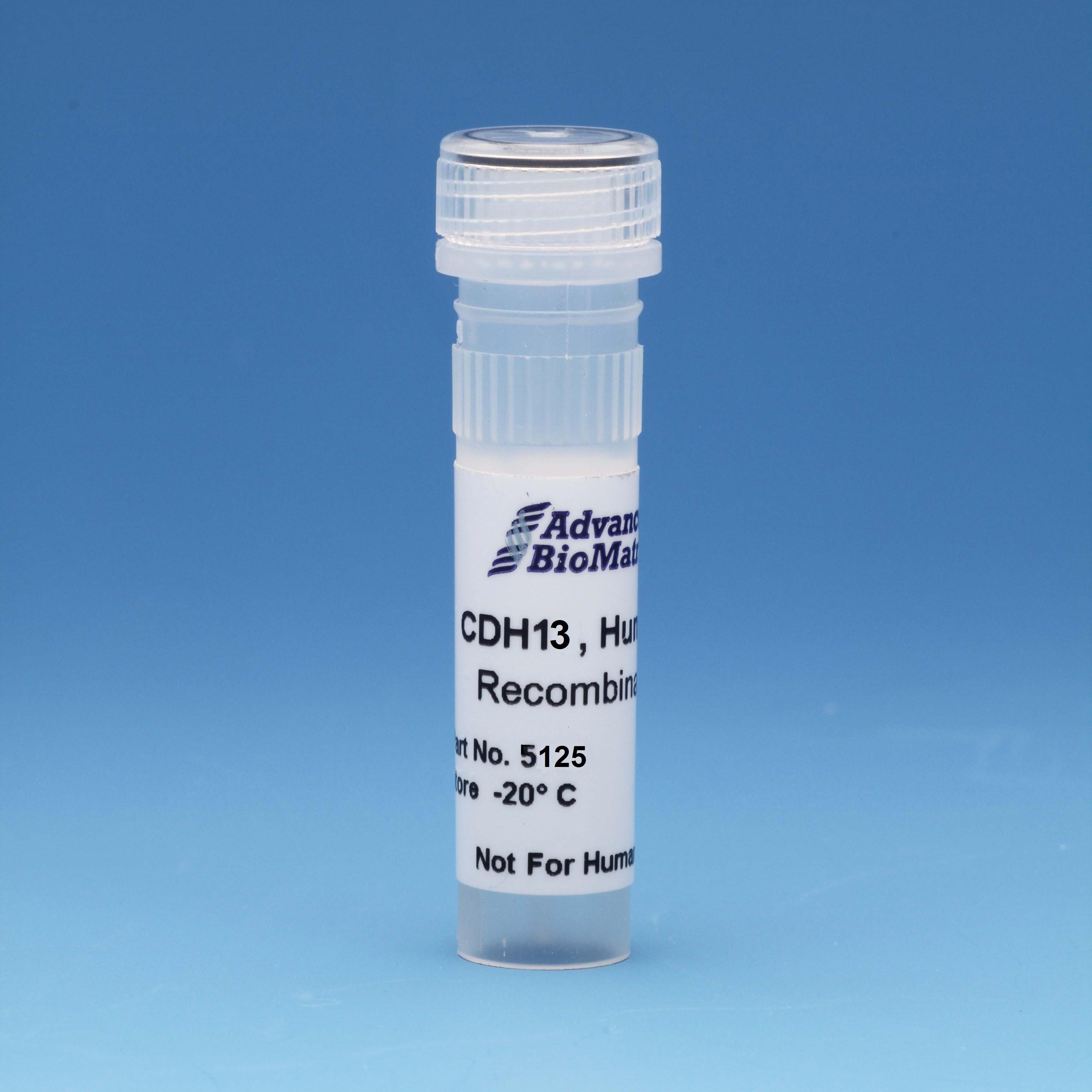 CDH13 recombinant adhesion protein from advanced biomatrix