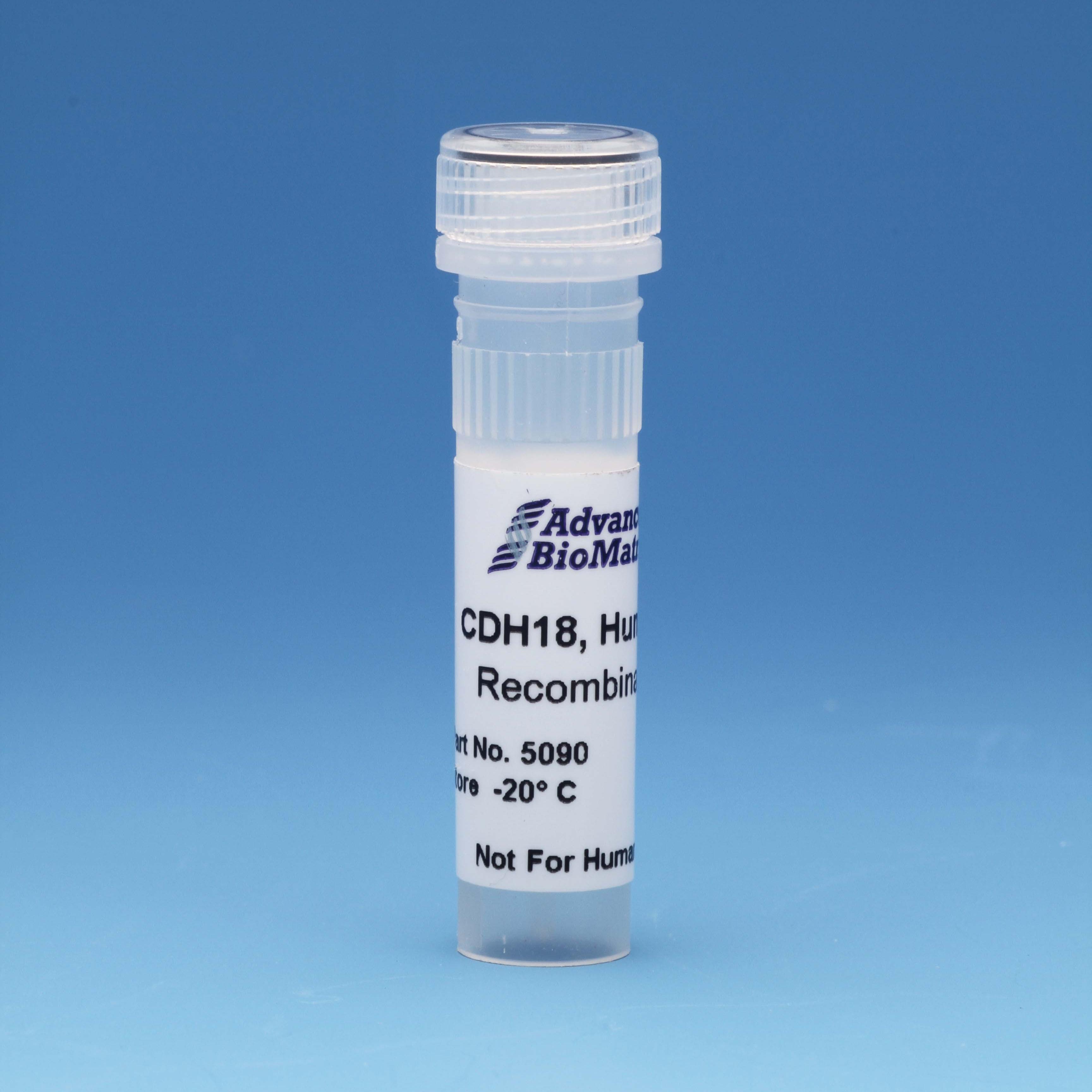 CDH18 recombinant adhesion protein from advanced biomatrix