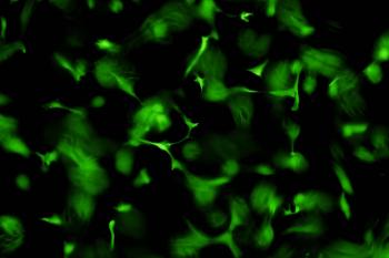 link to library blog - Cellcyte Gen 2