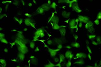 link to library blog - Live Dead Cell Viability Protocol