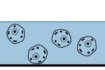 link to library blog - 4 Key Parameters for Collagen Hydrogels