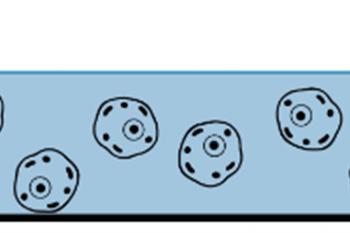 link to library blog - Hydrogel Cell Seeding Encapsulation Protocol