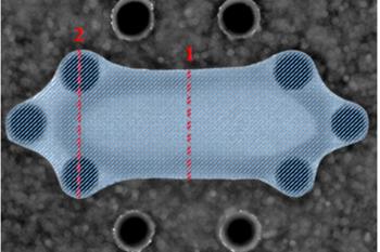 link to library blog - Cell Collagen Remodeling