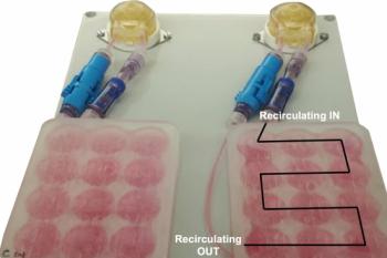 link to library blog - Perfusion Flow Enhances Viability