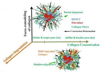 link to library blog - Mechanical Actions Between Cancer and Collagen