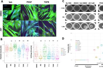 link to library blog - Rat Tail Collagen Contraction Assay