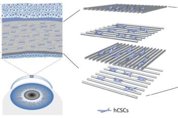 link to library blog - Electro-Compacted Collagen Cornea