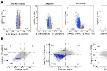 link to library blog - Stiffness Effects on DNA Methylation