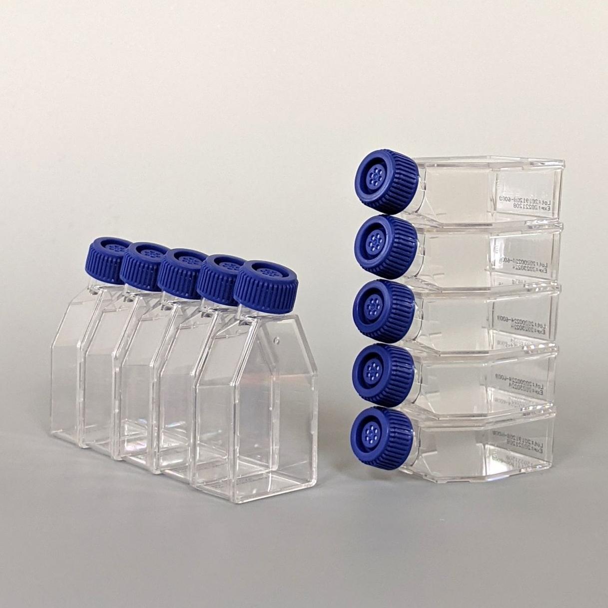 CytoSoft T-25 Flasks PDMS soft substrate surfaces