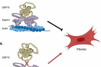 link to library blog - Collagen for Wound Healing Study