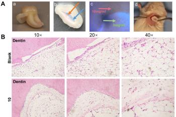 link to library blog - PhotoCol Injectable