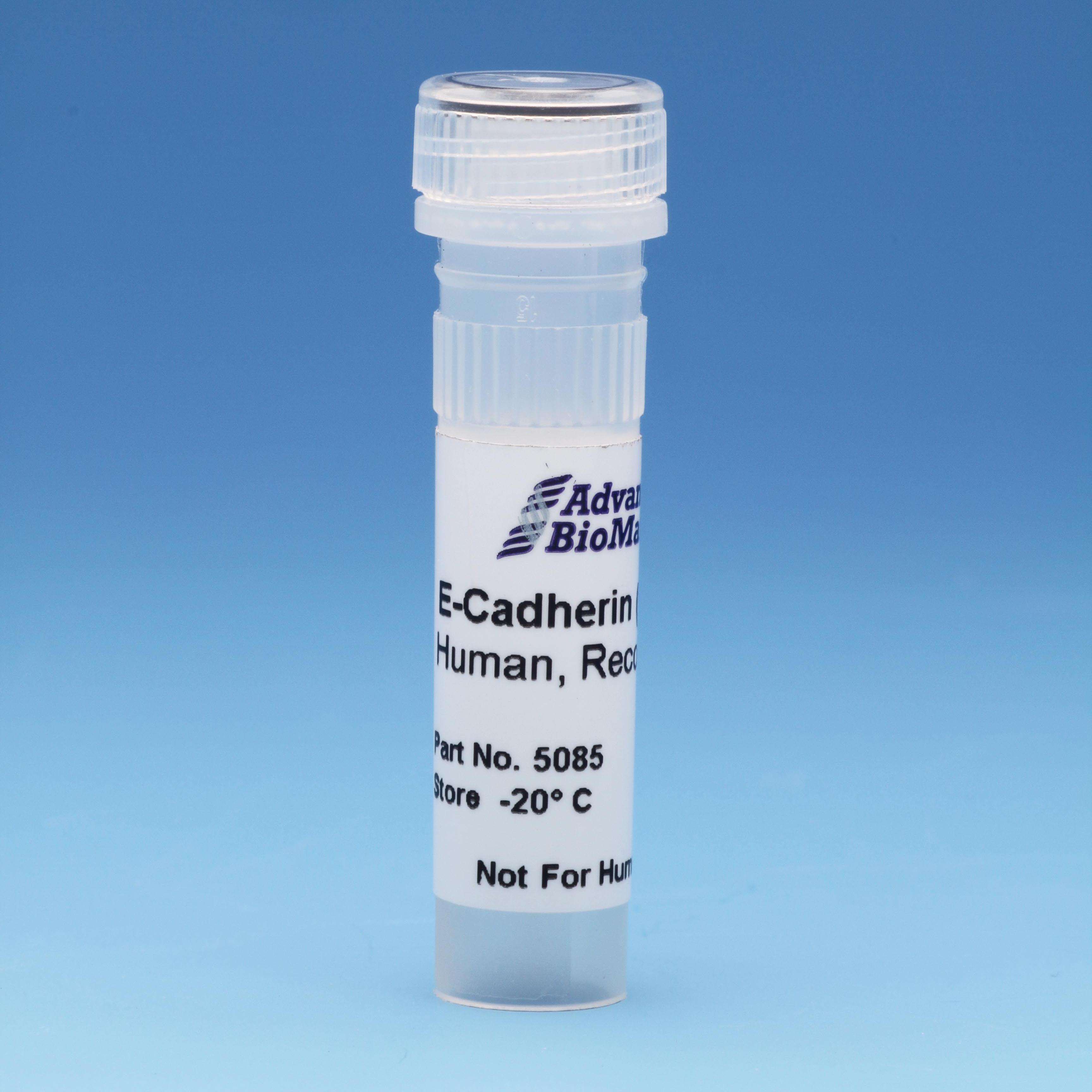 e-cadherin recombinant adhesion protein from advanced biomatrix