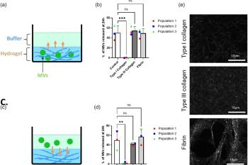 link to library blog - PureCol EZ Gel for Diffusion of Microvesicles