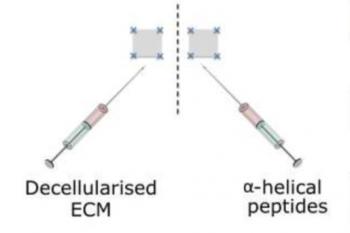 link to library blog - Macrophage Response to Injectable Hydrogels