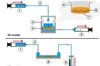 link to library blog - PureCol Hydrogels and Interstitial Flow