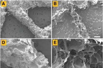 link to library blog - Freeze-FRESH Method for 3D Bioprinting