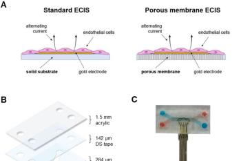 link to library blog - PureCol, HUVECs and Microfluidics