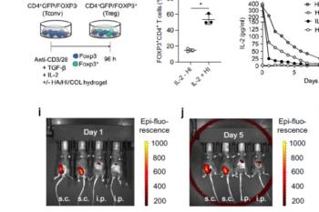 link to library blog - HyStem-HP for Drug Delivery