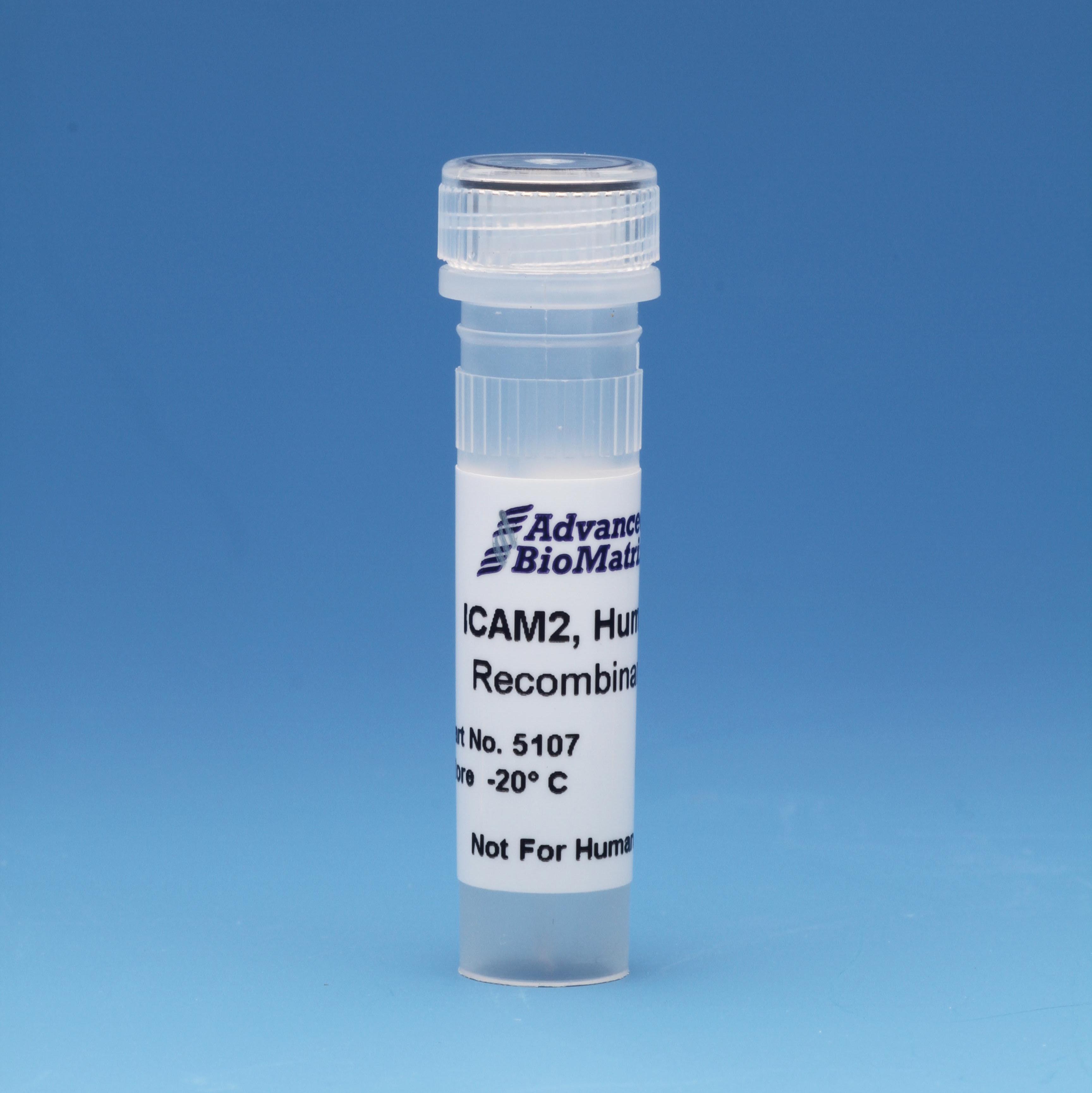 ICAM2 recombinant adhesion protein from advanced biomatrix