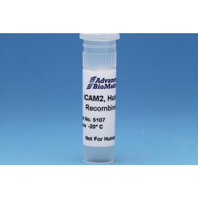 薬物治療学 : VISUAL CORE PHARMA Adrenal Cortex, 120 veg. capsules - SFI HEALTH - VitalAbo