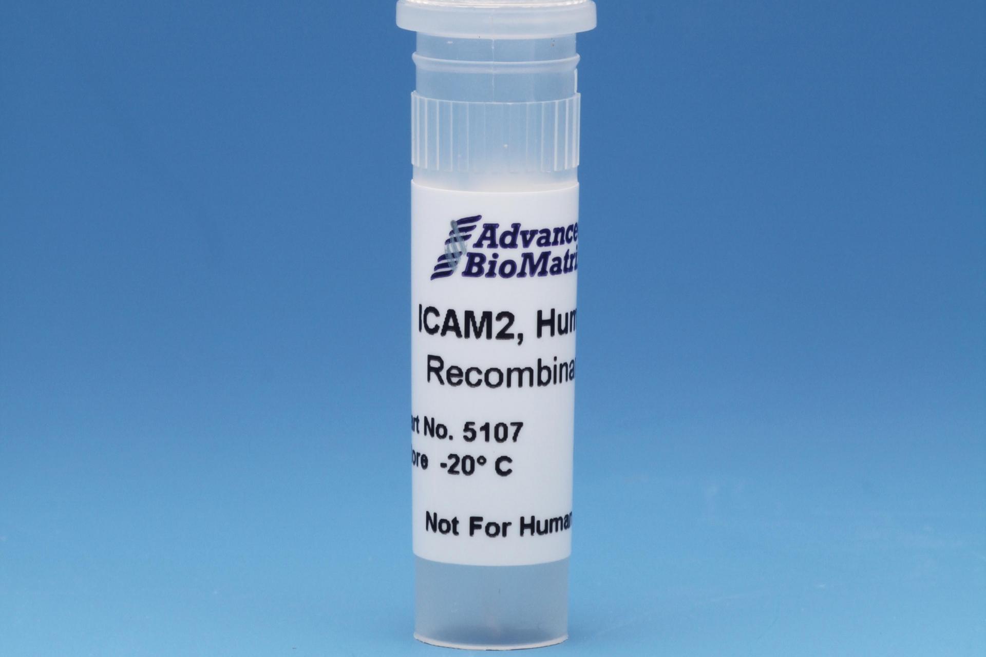 ICAM2, 0.5 mg/ml #5107