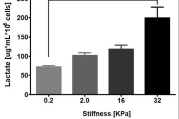 link to library blog - Matrix Stiffness Modulates Lactate Production