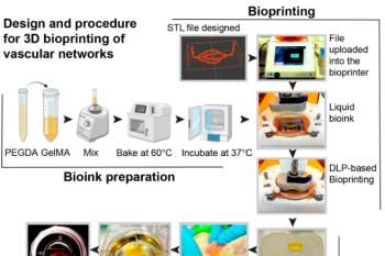 link to library blog - Heprasil for 3D Printed Microvessels