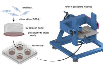 link to library blog - Microgravity Studies with Collagen Hydrogels