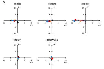 link to library blog - Collagen Coated Plates for Galvanotaxis