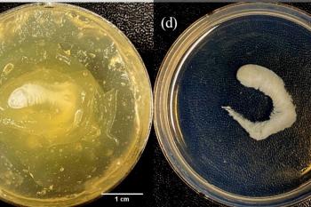 link to library blog - Lifeink 200 for Nasal Cartilage