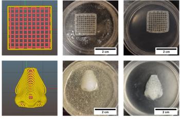 link to library blog - 3D Bioprinting Nasal Cartilage
