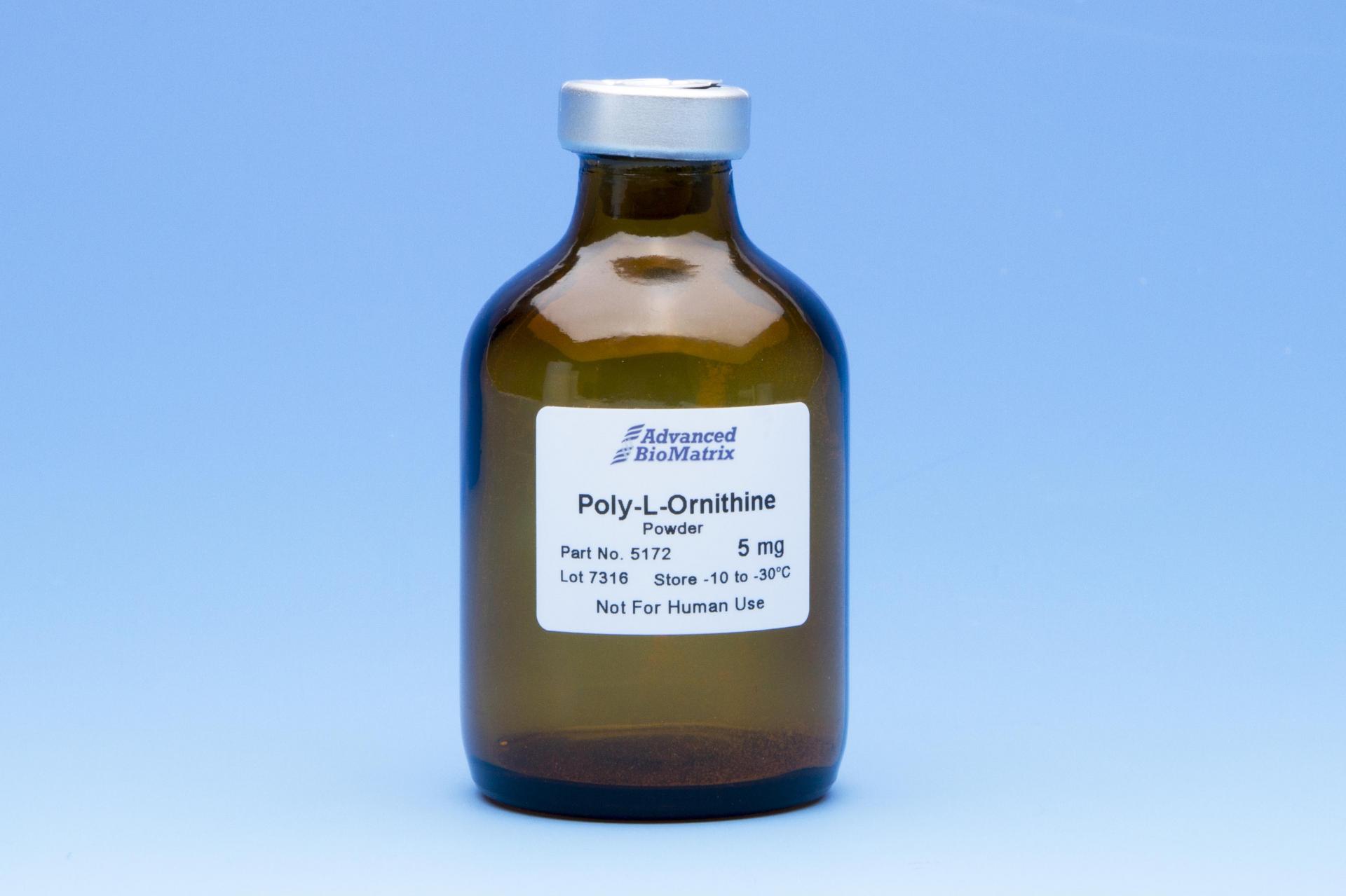 Poly-L-Ornithine, Powder, 5 mg #5172