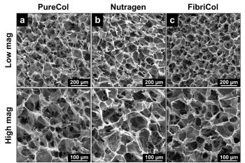 link to library blog - Pore Size of Hydrogels