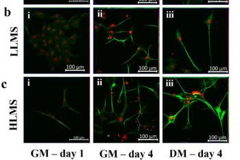 link to library blog - Collagen to Coat Plates of Varying Stiffness