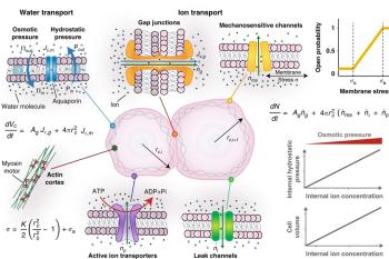 link to library blog - Role of Gap Junctions in Cancer Progression