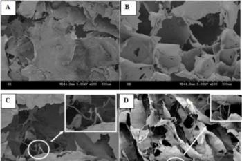 link to library blog - Chitosan / PureCol Hydrogels