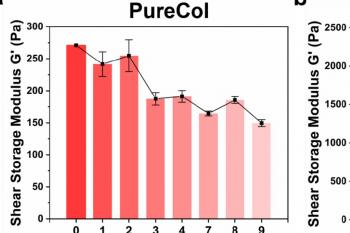 link to library blog - Collagen Stability Study