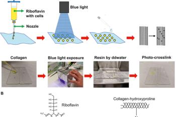 link to library blog - Microvalve Cell Printing with Collagen