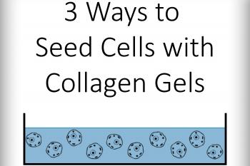 link to library blog - Seeding Collagen Gels with Cells