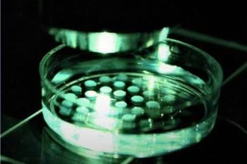 link to library blog - Culturing Single Cells in 3D