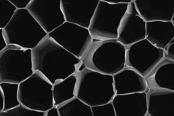link to library blog - SpongeCol Scaffold to Study Upregulation