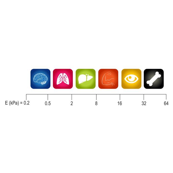 CytoSoft Substrate Stiffness Chart