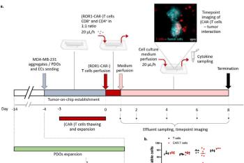 link to library blog - FibriCol and Fibronectin Tumor-On-Chip